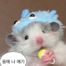 [교사 연수] 레고 스파이크 프라임 연수 후기, 레고로 만드는 AI 로봇 (feat. 퓨너스)