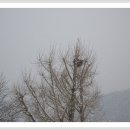 부계중학교 이미지