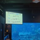 2024년 6월 부산 여행기 3부- 씨라이프 부산 아쿠아리움 지하 3층 관람 기록