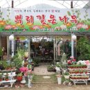 시흥소방서 | 정왕동꽃집 뿌리깊은나무 가격 위치 영업시간
