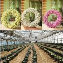 오션블루 이미지