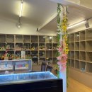 강아지의 품격 이미지