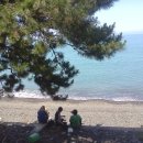 염포해수욕장 이미지