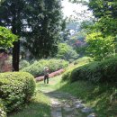 안면도자연휴양림 이미지