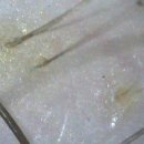 다모드림의원 이미지