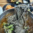 신재로 | 광양읍맛집 미향모밀 판모밀 냉모밀 김치만두 후기 추천
