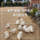 별스런 산책 네이버블로그