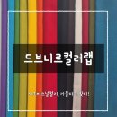[후기] 서초퍼스널컬러, 드브니르컬러랩에서 만난 가을다크