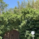 스테이숲숲 이미지