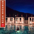 뮤직파크스튜디오 | 숙소만 있어도 하루가 부족한 정선 파크로쉬 웰니스 부대시설 수영장