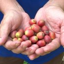 바리스타수업 이미지