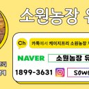 아벨농장 이미지