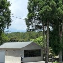 감귤박물관 위 이미지