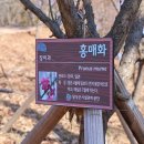 화원동산 어린이 놀이터 이미지