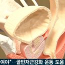 지엔메디 바디닥터 이미지