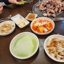 낙동강산오리 이미지