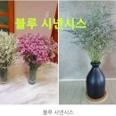 미스트블루