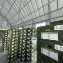 미자네 농장 이미지