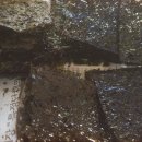 들기름 바른 돌김 이미지