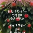 우리 인생의 마지막 풍경 이미지