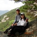 이리오시요 이미지