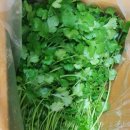 싱싱팜농장 이미지