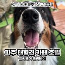 박준애견호텔강아지목욕대형견호텔애견유치원 | 일산 파주 대형견 애견 카페 호텔 젤리베어 홀리데이 다녀왔어요
