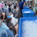 11680-182-101외 | [공지] 2026년 해외 일본 홋카이도 마라톤 접수 일정, 코스, 기념품 등 대회 정보