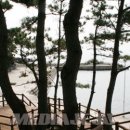 예래동 하예 포구 이미지
