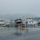 대일해운(가자바다로/아일랜드/욕지호) 네이버블로그