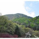 좌구산 천문대 이미지