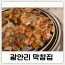 민락-102 | 부산 광안리 막창집 본점 평일 오픈런 곱창 막창 대창 혼밥 즐긴 후기