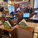 등불호프 | 뉴호프 을지로 본점 일본 느낌 가성비 술집