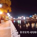 전망대민박 이미지