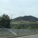 안동제1 동물병원 이미지