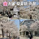 그루미뇽 | 서울 벚꽃 명소 망원동 카페 합정 데이트 실시간 개화상태