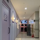 아지트댕댕 이미지