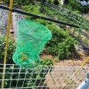 J·H농장 이미지