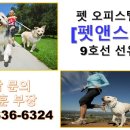 스테이보나 이미지