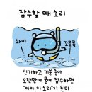 오셔닉 이미지