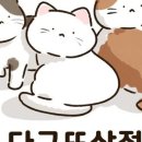 캐릭터소품상점 이미지
