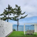 더뷰1151 이미지