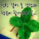 금마차 이미지