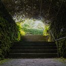 주식회사 한림공원 이미지