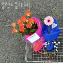 올렌느플라워 이미지
