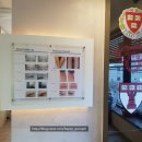 메디미스토리 이미지