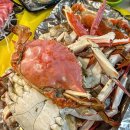 해수산 | 가락시장 꽃게 포장 내돈내산 재방문 후기(찜비 무료)｜싱싱해수산
