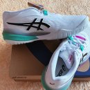 270-2026 | 2026 호주오픈 에디션! 아식스 젤 레졸루션 X(10) 사이즈 팁 &amp; 270 실착 후기