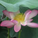 벌교신협 이미지