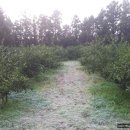 서리내농장 이미지